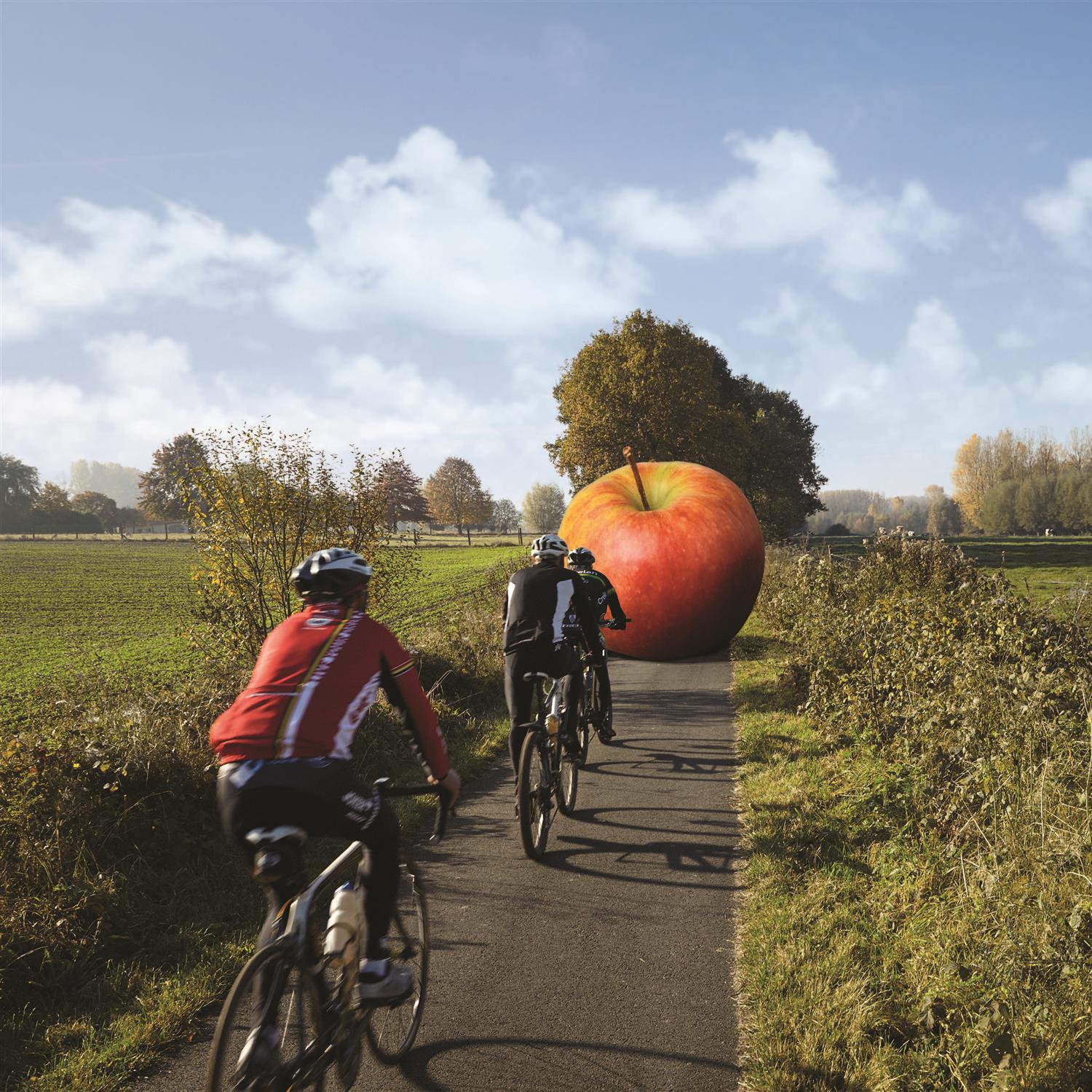 Fruitkwekerij Coppens